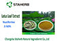 Herbal Weight Losing Raw Materials , Flavonoids Plant Lotus Leaf Extract Powder supplier