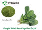 Organic Spinach Leaf Extract Powder Vitamin K Contained Natural Food Pigment supplier