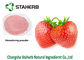Strawberry extract, Strawberry powder, fruit powder,Spray dried powder,Vitamin A,plant extract supplier