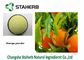 Orange Fruit Antibacterial Plant Extracts , Dehydrated Citrus Aurantium Powder Light Yellow supplier