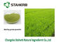 Herb Barley Grass Juice Powder Gine Green Color Spray Dried Extraction supplier