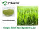 Herb Barley Grass Juice Powder Gine Green Color Spray Dried Extraction supplier