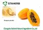 Papaya Extract Powder,Dehydrated Fruit Powder,Good For Spleen,Food additive,Drink supplier