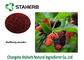 Anthocyanin Antioxidant Dietary Supplement Dehydrated Mulberry Fruit Powder supplier