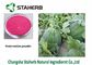 Watermelon Extract Dehydrated Fruit Powder Food Additive Improve Nutritional Value supplier