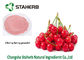 Dehydrated Fruit Powder Cherry Powder Vitamin C  Antioxidant supplier