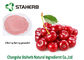 Dehydrated Fruit Powder Cherry Powder Vitamin C  Antioxidant supplier