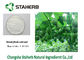 Sweetner additive Mogroside Herbal Extract Ratios Monk Fruit Powder supplier