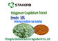 Polygonum Cuspidatum Root Extract Phytogenic Feed Additives Veterinary supplier
