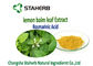 Lemon Balm Leaf Natural Herbal Extracts supplier