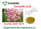 Corsolic Acid Banaba Extracts Pure Natural Plant Extracts Cas No.4547-24-4 supplier