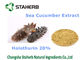 Sea Cucumber Extract Natural Cosmetic Ingredients Holothurin 20% For Cosmetic supplier