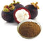 Pure Natural Mangosteen Pure Herbal Extracts Mangostin Powder For Pharma supplier