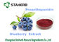 Blueberry Extract Antioxidant Dietary Supplement Enhance Immune System Ability supplier