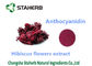 Hibiscus Flower Extract Natural Cosmetic Ingredients Anthocyanin 10% Powder supplier