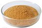 Green Tea Extract Antioxidant Dietary Supplement Catechin 50-98% Powder supplier