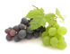 Grape Skin Extract Natural Cosmetic Ingredients Resveratrol 5% Cas No.501-36-0 supplier