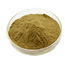 Chinese Magnolia Vine Fruit Antibacterial Plant Extracts , Herbal Extract Powder supplier