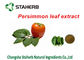 Persimmon Leaf Extract Pure Natural Plant Extracts Folium Kaki Extract Powder supplier
