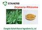 Drynaria Rhizome Extract Concentrated Plant Extract Rhizoma Drynariae Powder supplier
