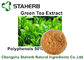 Yellow Brown Powder Natural Plant Extracts Green Tea Extract Polyphenols 50% By HPLC supplier