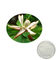 natural plant extracts magnolia bark extract magnolol+honokiol for medical applications supplier