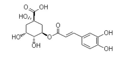 RAW Material Pharmaceuticals Eucommia Ulmoides Extract  P.E Chlorogenic Acid 5-98%
