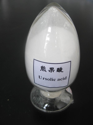 White Powder Loquat Leaf Extract 25%-98% Ursolic Acid Good Ethanol Solubility