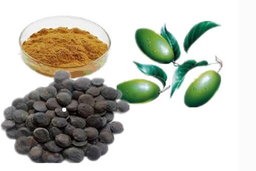 5-HTP powder 4350-09-8 Concentrated plant extract Griffonia seed extract
