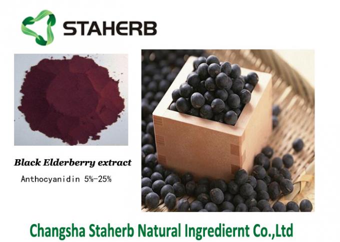 Anti-aging Elderberry Extract Concentrated plant extract Anthocyandin