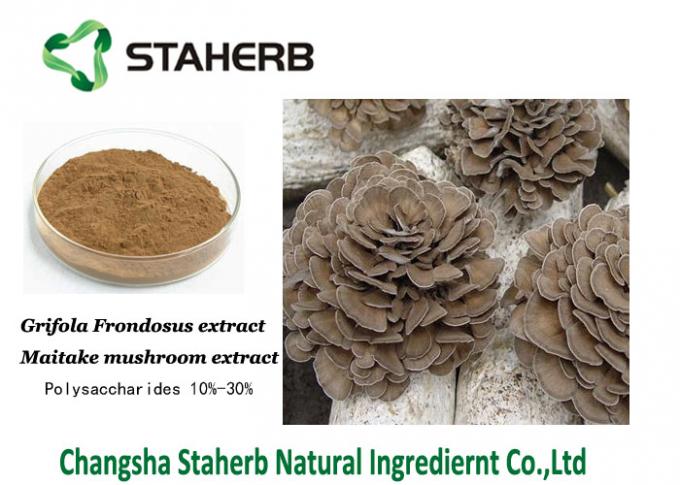Antibacterial plant extracts Maitake Mushroom Extract  30% Polysaccharides