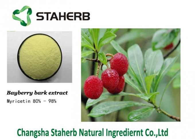 Myricetin 529-44-2 Bayberry Bark Extract