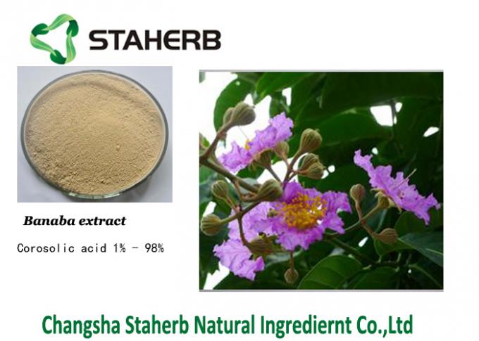 Banaba Pure Natural Plant Extract Powder