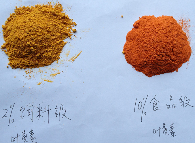 Red Phytogenic Feed Additives Marigold Extract lutein 2%-10% Powder Colorant