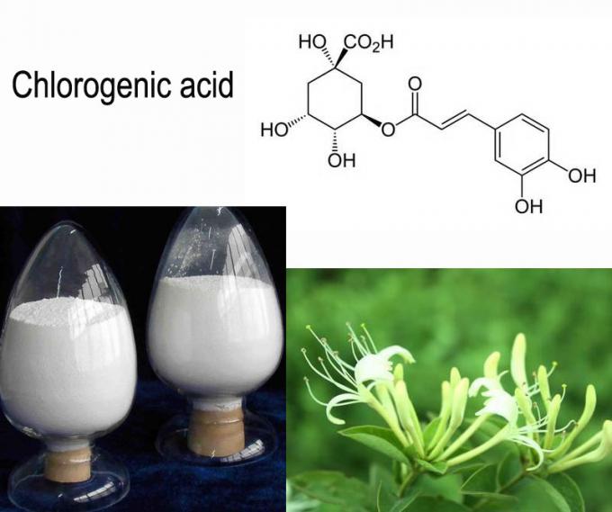CAS 327-97-9 Chlorogenic acid extract Honeysuchle flower extract Reduce heat