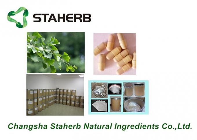 Antibacterial Pure Natural Plant Extracts / Ginkgo Biloba Extract CAS No. 90045-36-6