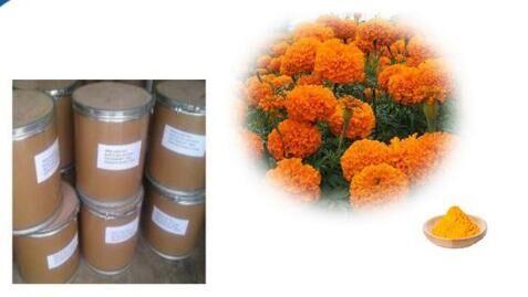 High Purity marigold extract Lutein and Zeaxanthin Powder UV/HPLC 5% - 90%