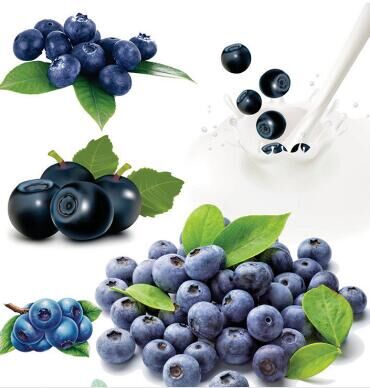 Anti-oxidant Skin Care Pure Blueberry Extract Anthocyanidin 5% - 95% For Beverage Product