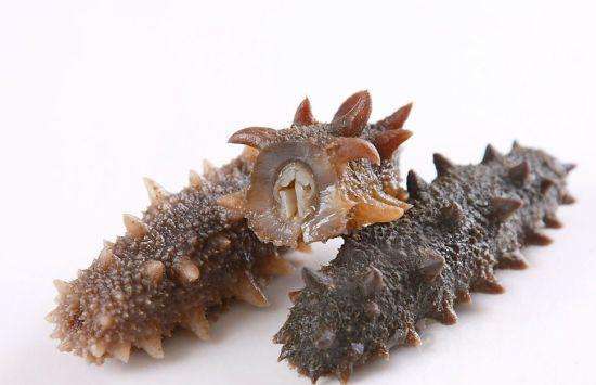 Sea Cucumber Extract Natural Cosmetic Ingredients Holothurin 20% For Cosmetic