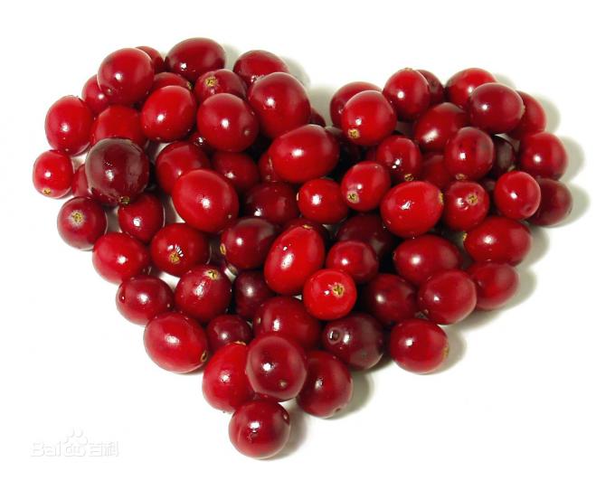 Cranberry Extract Organic / Natural Antioxidant Supplement Violet Fine Powder