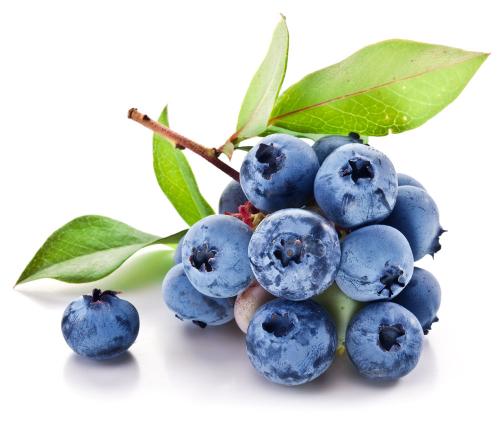 Blueberry Extract Antioxidant Dietary Supplement Enhance Immune System Ability