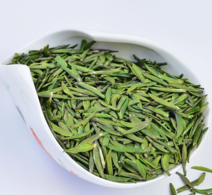 Green Tea Extract Antioxidant Dietary Supplement Catechin 50-98% Powder
