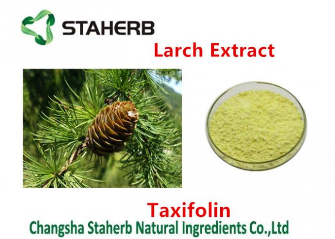 Cas No 480-18-2 Larch Extract All Natural Extracts Taxifolin 80%-98% Purity