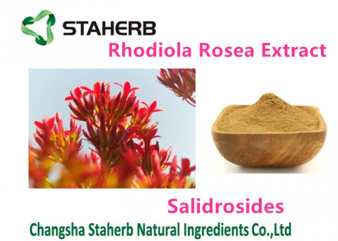 Female Health Rhodiola Rosea Extract Pure Natural Plant Extracts Salidrosides 3%