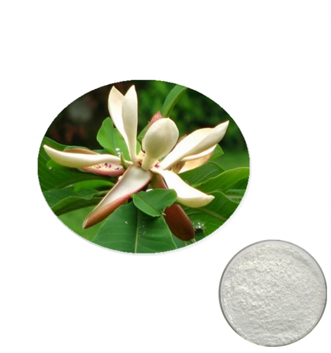 Natural plant extracts magnolia bark extract magnolol 95% for tooth paste