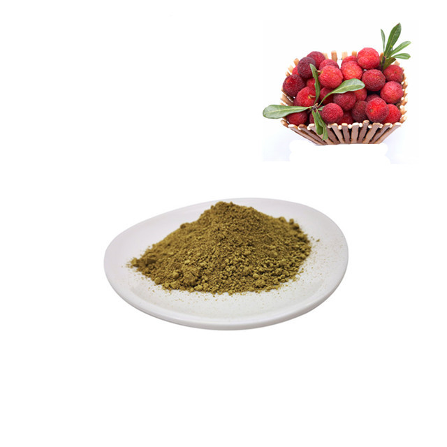 natural plant extracts Vine tea extract myricetin 98% for medicals