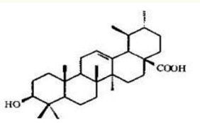 Rosemary Leaf Extract Of Ursolic Acid,Rosmarinic Acid,Carnosic Acid Powder
