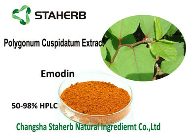 China 98% Emodin Powder Pure Natural Plant Extracts , Polygonum Cuspidatum Root Extract supplier