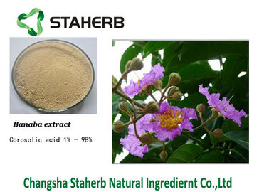 China Banaba Pure Natural Plant Extract Powder supplier