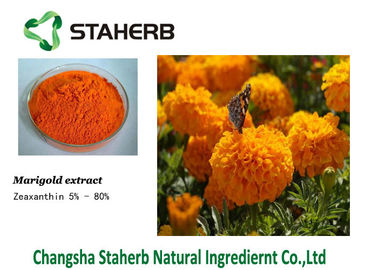 China Zeaxanthin Marigold Flower Extract supplier